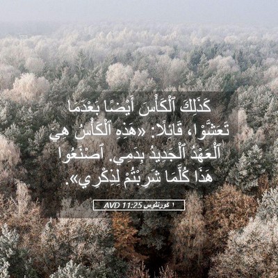 Picture 05 - ١ كورنثوس 11:25 AVD - كَذَلِكَ ٱلْكَأْسَ - Bible Verse Picture