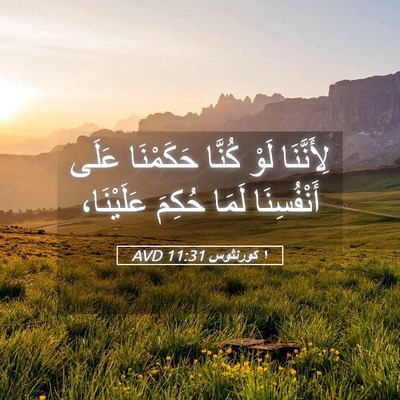 Picture 05 - ١ كورنثوس 11:31 AVD - لِأَنَّنَا لَوْ كُنَّا - Bible Verse Picture
