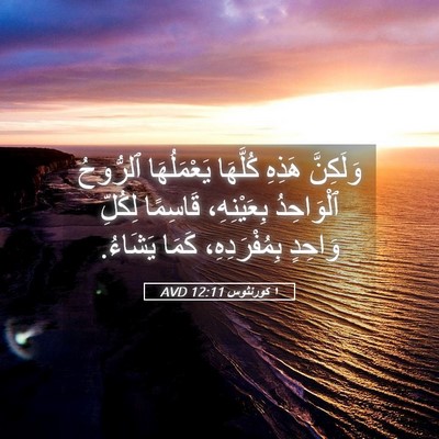 Picture 05 - ١ كورنثوس 12:11 AVD - وَلَكِنَّ هَذِهِ كُلَّهَا - Bible Verse Picture