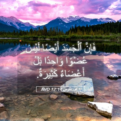 Picture 05 - ١ كورنثوس 12:14 AVD - فَإِنَّ ٱلْجَسَدَ أَيْضًا - Bible Verse Picture