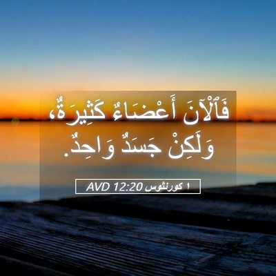 Picture 05 - ١ كورنثوس 12:20 AVD - فَٱلْآنَ أَعْضَاءٌ - Bible Verse Picture