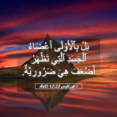 Picture 05 - ١ كورنثوس 12:22 AVD - بَلْ بِٱلْأَوْلَى - Bible Verse Picture