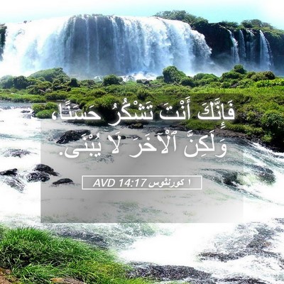 Picture 05 - ١ كورنثوس 14:17 AVD - فَإِنَّكَ أَنْتَ تَشْكُرُ - Bible Verse Picture