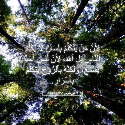 Picture 05 - ١ كورنثوس 14:2 AVD - لِأَنَّ مَنْ يَتَكَلَّمُ - Bible Verse Picture