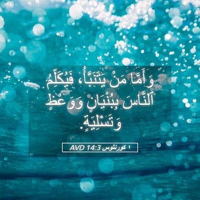 Picture 05 - ١ كورنثوس 14:3 AVD - وَأَمَّا مَنْ - Bible Verse Picture