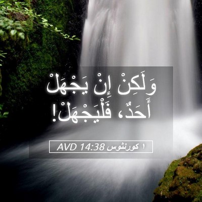 Picture 05 - ١ كورنثوس 14:38 AVD - وَلَكِنْ إِنْ يَجْهَلْ - Bible Verse Picture