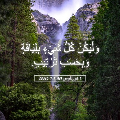 Picture 05 - ١ كورنثوس 14:40 AVD - وَلْيَكُنْ كُلُّ شَيْءٍ - Bible Verse Picture