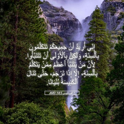 Picture 05 - ١ كورنثوس 14:5 AVD - إِنِّي أُرِيدُ أَنَّ - Bible Verse Picture