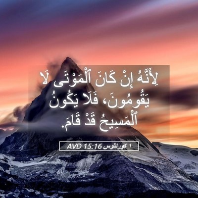 Picture 05 - ١ كورنثوس 15:16 AVD - لِأَنَّهُ إِنْ كَانَ - Bible Verse Picture