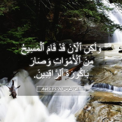 Picture 05 - ١ كورنثوس 15:20 AVD - وَلَكِنِ ٱلْآنَ قَدْ قَامَ - Bible Verse Picture