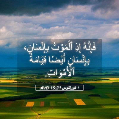Picture 05 - ١ كورنثوس 15:21 AVD - فَإِنَّهُ إِذِ ٱلْمَوْتُ - Bible Verse Picture