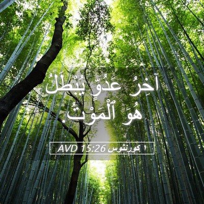 Picture 05 - ١ كورنثوس 15:26 AVD - آخِرُ عَدُوٍّ يُبْطَلُ - Bible Verse Picture