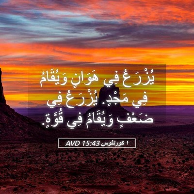 Picture 05 - ١ كورنثوس 15:43 AVD - يُزْرَعُ فِي هَوَانٍ - Bible Verse Picture
