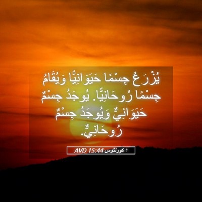 Picture 05 - ١ كورنثوس 15:44 AVD - يُزْرَعُ جِسْمًا - Bible Verse Picture