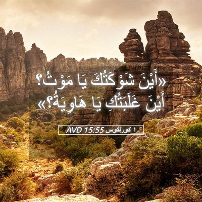 Picture 05 - ١ كورنثوس 15:55 AVD - «أَيْنَ شَوْكَتُكَ يَا - Bible Verse Picture