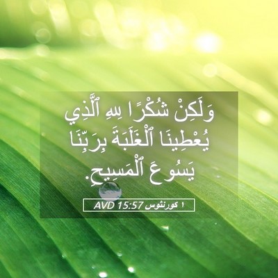 Picture 05 - ١ كورنثوس 15:57 AVD - وَلَكِنْ شُكْرًا لِلهِ - Bible Verse Picture