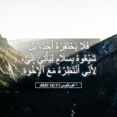 Picture 05 - ١ كورنثوس 16:11 AVD - فَلَا يَحْتَقِرْهُ - Bible Verse Picture