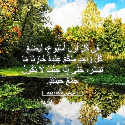 Picture 05 - ١ كورنثوس 16:2 AVD - فِي كُلِّ أَوَّلِ - Bible Verse Picture