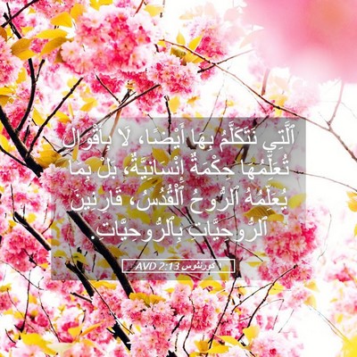 Picture 05 - ١ كورنثوس 2:13 AVD - ٱلَّتِي نَتَكَلَّمُ بِهَا - Bible Verse Picture