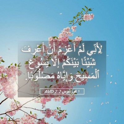 Picture 05 - ١ كورنثوس 2:2 AVD - لِأَنِّي لَمْ أَعْزِمْ - Bible Verse Picture