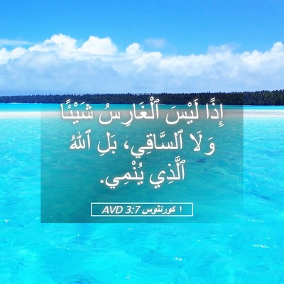 Picture 05 - ١ كورنثوس 3:7 AVD - إِذًا لَيْسَ ٱلْغَارِسُ - Bible Verse Picture