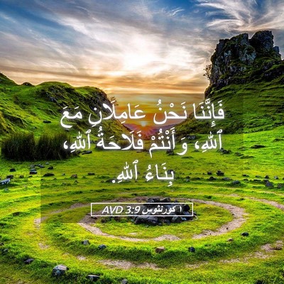 Picture 05 - ١ كورنثوس 3:9 AVD - فَإِنَّنَا نَحْنُ - Bible Verse Picture