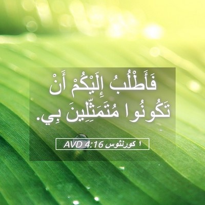 Picture 05 - ١ كورنثوس 4:16 AVD - فَأَطْلُبُ إِلَيْكُمْ - Bible Verse Picture