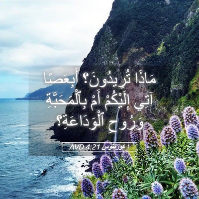 Picture 05 - ١ كورنثوس 4:21 AVD - مَاذَا تُرِيدُونَ؟ - Bible Verse Picture