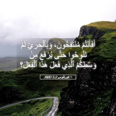 Picture 05 - ١ كورنثوس 5:2 AVD - أَفَأَنْتُمْ - Bible Verse Picture