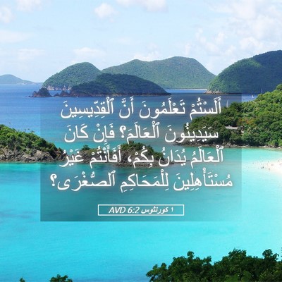Picture 05 - ١ كورنثوس 6:2 AVD - أَلَسْتُمْ تَعْلَمُونَ - Bible Verse Picture