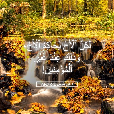 Picture 05 - ١ كورنثوس 6:6 AVD - لَكِنَّ ٱلْأَخَ يُحَاكِمُ - Bible Verse Picture