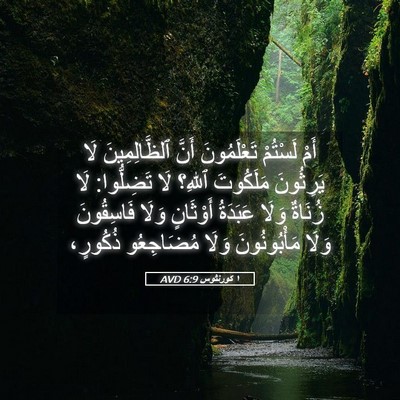 Picture 05 - ١ كورنثوس 6:9 AVD - أَمْ لَسْتُمْ تَعْلَمُونَ - Bible Verse Picture