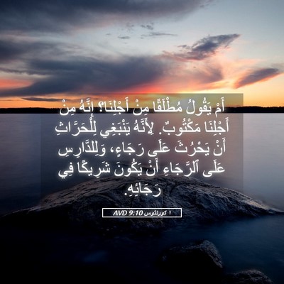 Picture 05 - ١ كورنثوس 9:10 AVD - أَمْ يَقُولُ مُطْلَقًا - Bible Verse Picture