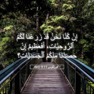 Picture 05 - ١ كورنثوس 9:11 AVD - إِنْ كُنَّا نَحْنُ قَدْ - Bible Verse Picture