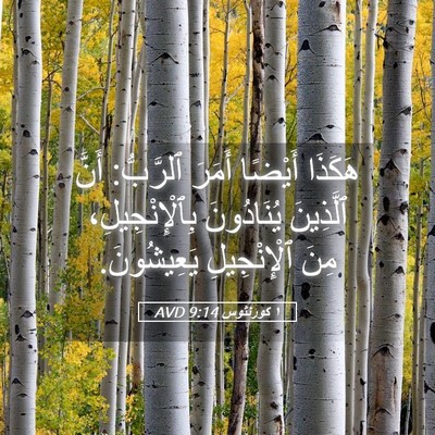 Picture 05 - ١ كورنثوس 9:14 AVD - هَكَذَا أَيْضًا أَمَرَ - Bible Verse Picture