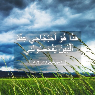 Picture 05 - ١ كورنثوس 9:3 AVD - هَذَا هُوَ ٱحْتِجَاجِي - Bible Verse Picture