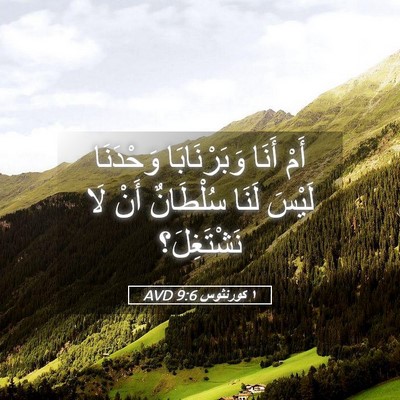 Picture 05 - ١ كورنثوس 9:6 AVD - أَمْ أَنَا وَبَرْنَابَا - Bible Verse Picture