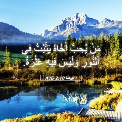 Picture 05 - ١ يوحنَّا 2:10 AVD - مَنْ يُحِبُّ أَخَاهُ - Bible Verse Picture