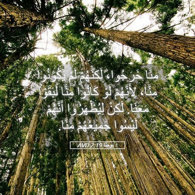 Picture 05 - ١ يوحنَّا 2:19 AVD - مِنَّا خَرَجُوا، - Bible Verse Picture