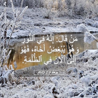Picture 05 - ١ يوحنَّا 2:9 AVD - مَنْ قَالَ: إِنَّهُ فِي - Bible Verse Picture