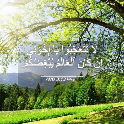 Picture 05 - ١ يوحنَّا 3:13 AVD - لَا تَتَعَجَّبُوا يَا - Bible Verse Picture