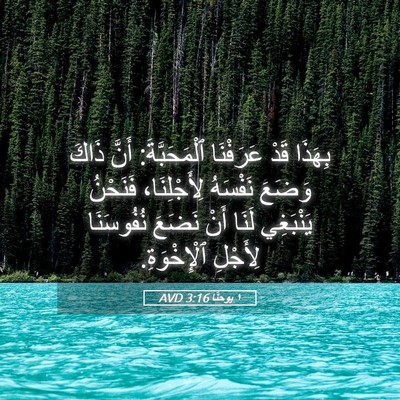 Picture 05 - ١ يوحنَّا 3:16 AVD - بِهَذَا قَدْ عَرَفْنَا - Bible Verse Picture