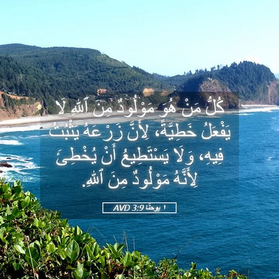 Picture 05 - ١ يوحنَّا 3:9 AVD - كُلُّ مَنْ هُوَ مَوْلُودٌ - Bible Verse Picture