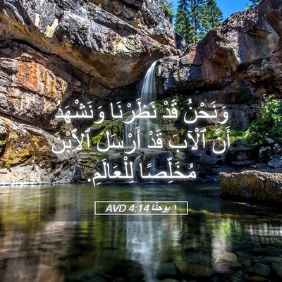 Picture 05 - ١ يوحنَّا 4:14 AVD - وَنَحْنُ قَدْ نَظَرْنَا - Bible Verse Picture