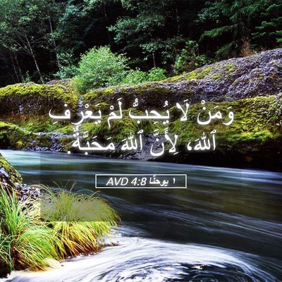 Picture 05 - ١ يوحنَّا 4:8 AVD - وَمَنْ لَا يُحِبُّ لَمْ - Bible Verse Picture