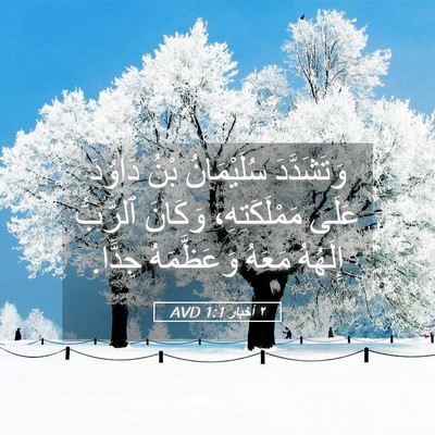 Picture 05 - ٢ أخبار 1:1 AVD - وَتَشَدَّدَ سُلَيْمَانُ - Bible Verse Picture