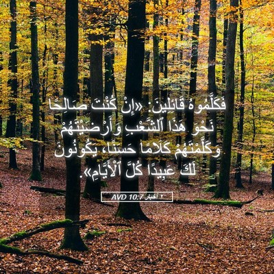 Picture 05 - ٢ أخبار 10:7 AVD - فَكَلَّمُوهُ قَائِلِينَ: - Bible Verse Picture