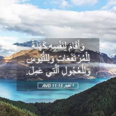 Picture 05 - ٢ أخبار 11:15 AVD - وَأَقَامَ لِنَفْسِهِ - Bible Verse Picture