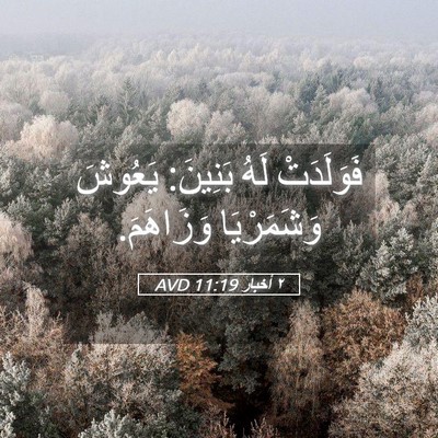 Picture 05 - ٢ أخبار 11:19 AVD - فَوَلَدَتْ لَهُ بَنِينَ: - Bible Verse Picture