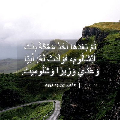 Picture 05 - ٢ أخبار 11:20 AVD - ثُمَّ بَعْدَهَا أَخَذَ - Bible Verse Picture